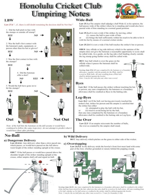 Cricket umpire rules and decisions