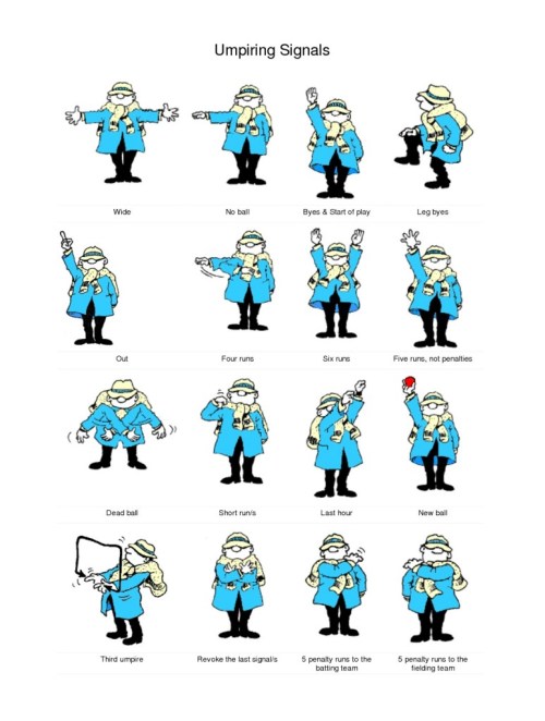 cricket umpire signals