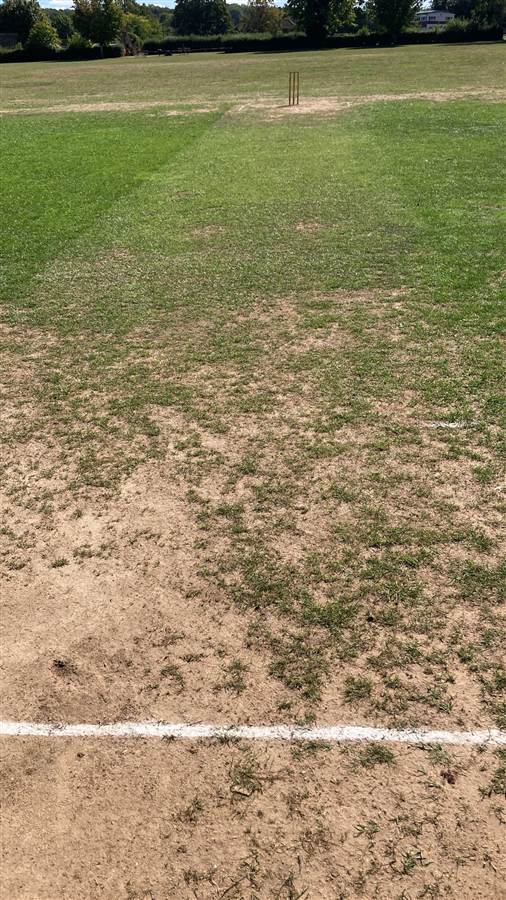 Bare, patchy cricket pitch at Chrystie Road Recreation Ground before Park Hill vs Tadworth on 5 September 2026, with the stumps at the far end